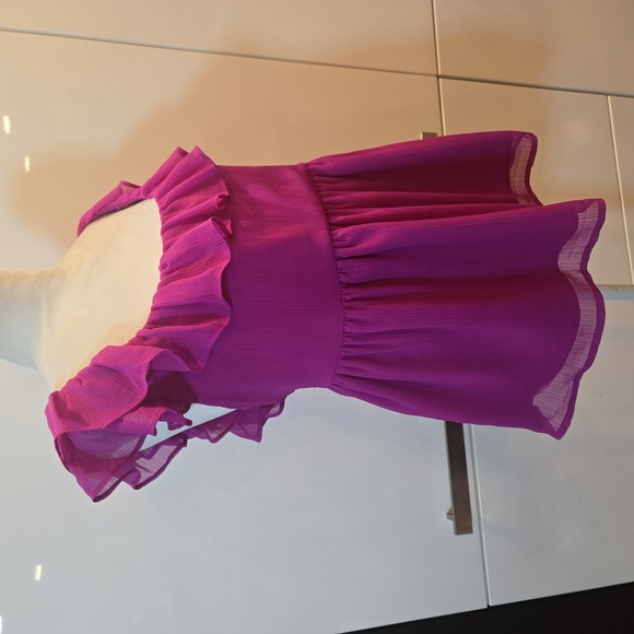 Banana Republic Ruffled Empire Waist Guazy Fushia Pink Blouse Womens Size Medium - Picture 1 of 8